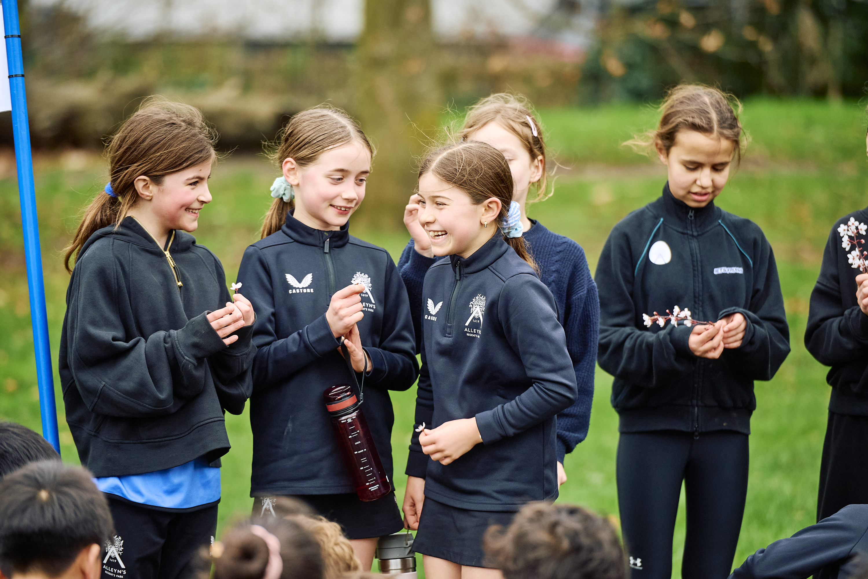 Discover Alleyn's